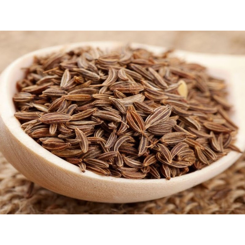 Fenchelsamen (Thian khao plueak) | เทียนข้าวเปลือก