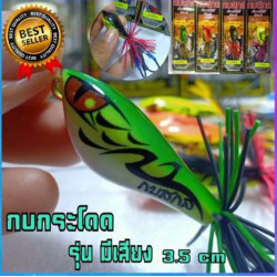 thongthep-angelkoeder-thai-holzfrosch-original.jpg